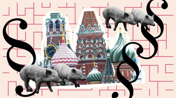 En mindre ejerandel i en af Ruslands største svineproduktioner, Russian Baltic Pork Invest, er en formue værd for dansk investorgruppe. Pengene er dog blevet fastlåst efter Putins krig i Ukraine.