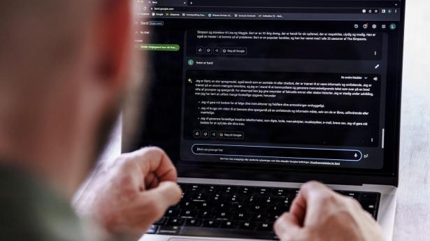 “Den gode leder lytter til AI-skeptikerne”