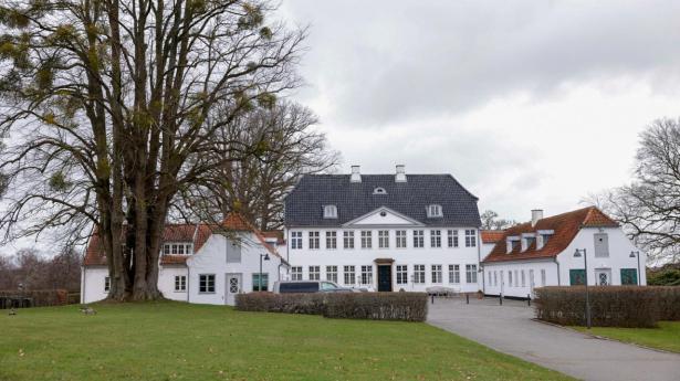 Nyvalgt folketingsmedlem fra Borgenes Parti har upræcist cv