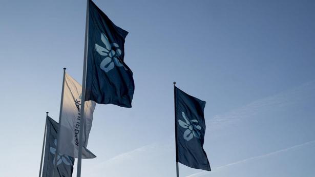 Topdanmark-investering koster Sampo dyrt.