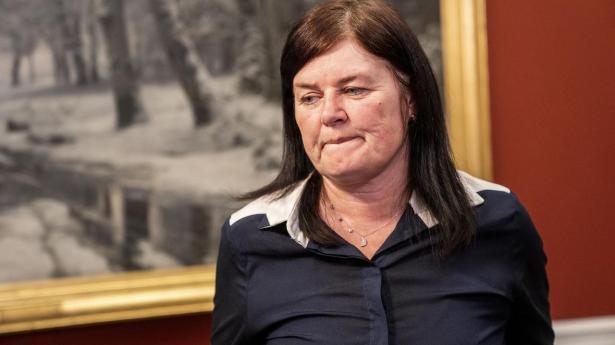 Flere partier, heriblandt SF, vil gøre undervisning om samtykkeloven obligatorisk. Partiers retsordfører, Karina Lorentzen, siger til Politiken, at det ville være "optimalt", hvis loven kom på skemaet i folkeskolen. 