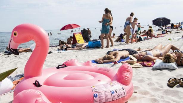 Sommer ved Saksild Strand nær Odder.
