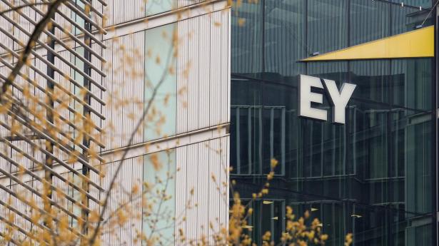 EY er blevet sagsøgt af en tidligere medarbejder, der ifølge hende selv blev fyret efter en omstridt tale om Gaza-konflikten