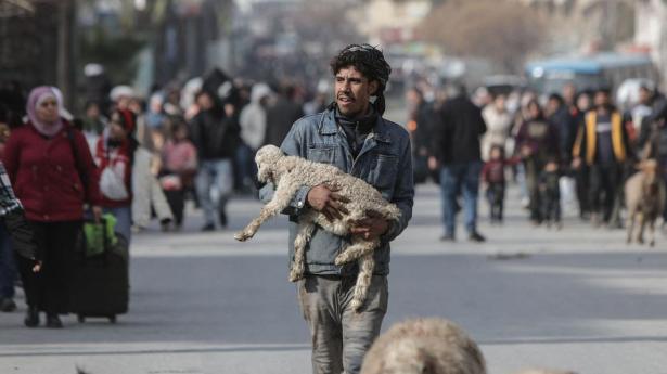 Onsdag tog en mand et lam favnen, inden han flygtede fra det kurdiske kvarter Ashrafieh i Aleppo.