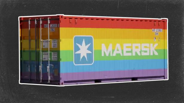 For fem år siden stod Novos adm. direktør Lars Fruergaard og adm. direktør Søren Skou fra A.P. Møller-Mærsk foran en regnbuefarvet container for at promovere mangfoldighed og diversitet. Nu hedder topcheferne Mike Doustdar og Vincent Clerc, og begge virksomheders dagsorden for mangfoldighed har forandret sig.