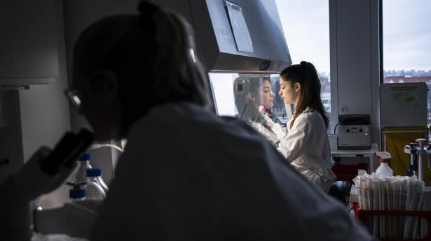 Modstillingen mellem universitet og industri er en klar forsimpling. En undersøgelse viser, at halvdelen af ph.d.’erne på danske universiteter ønsker job på et andet universitet. En stor gruppe ønsker forskningsintensive stillinger i virksomheder.