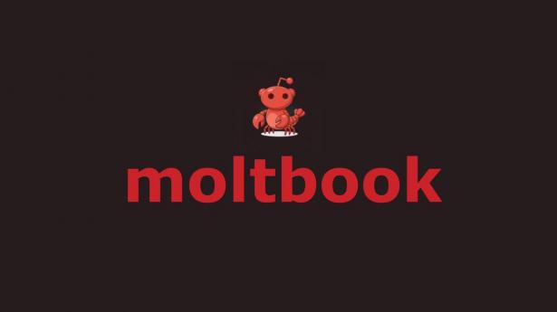 Her chatter 1,5 mio. AI-bots løs, mens mennesker blot kan kigge på