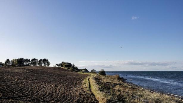 Landbruget håber på kort periode med “kvælstofhammeren”