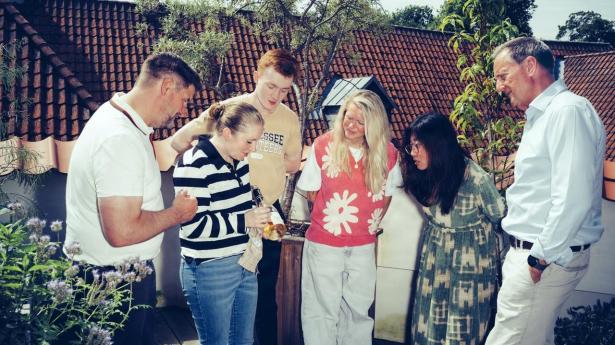 Her er de bedste sommerbobler