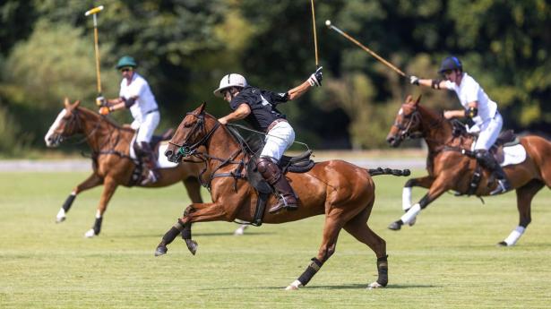 Vi tog til Danmarks første professionelle polo-turnering: “Det er Formel 1, det her”