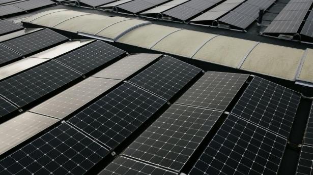“Hvis ikke vi sikrer en høj elkvalitet, kan det dels i sidste ende gå ud over apparater i virksomheder og husholdninger, som ikke kan tåle store udsving i kvaliteten af strøm,” siger Energinet som svar på kritik om krav til opsætning af solceller. 