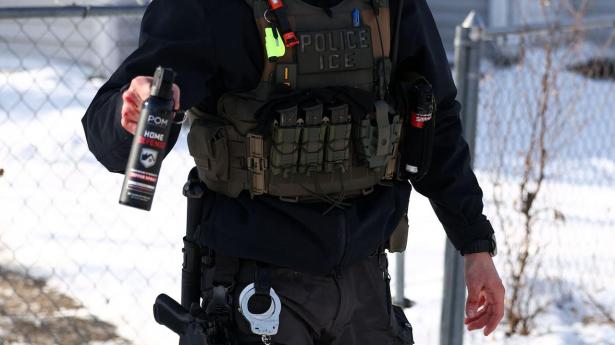 Demokraterne kritiserer ICE-agenters hårdhændede fremfærd i blandt andet Minneapolis i delstaten Minnesota, hvor to amerikanske statsborgere - Renee Good og Alex Pretti - blev dræbt af skud fra ICE-agenter i forbindelse med protester mod ICE's arbejde.