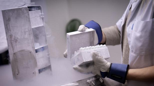 Greater Copenhagen har Europas næsthøjeste koncentration af virksomheder, der udvikler nye medicinske behandlinger. Fundamentet er stærkt, men politiske barrierer spænder ben.