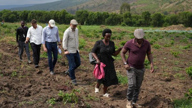 I Uganda omstiller kaffebønder omstiller sig langt hurtigere end de danske landmænd – ikke af idealisme, men af ren nødvendighed, skriver Lars Aaen Thøgersen.