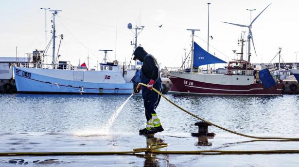 Fremgangen i landingsværdien for dansk fiskeri i 2025 skyldes ifølge Fiskeri Tidende en kombination af, at industrifiskeriet var godt i 2025, og at priserne holdt et højt niveau på både industrifisk og konsumfisk. 
