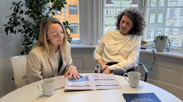 Næste generation vil være gode ejere – spørgsmålet er hvordan?