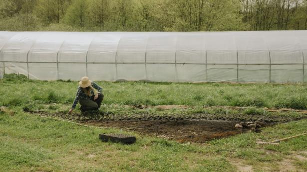 De fortællinger, mange møder om landbruget i dag, handler sjældent om mennesker. De handler om systemer, regulering og interessekonflikter, skriver Cindie Christiansen. På billedet ses Emma Rej, medstifter af det regenerative landbrug Månedalen.
