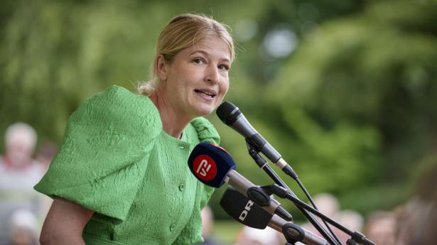 Christina Krzyrosiak forlader udvalgspost efter mand blev minister