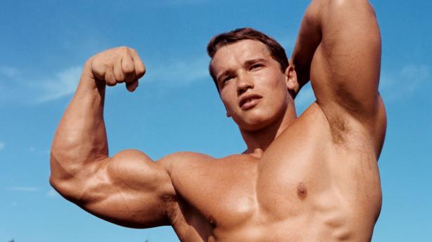 Førende fotografer som Richard Avedon, Annie Leibovitz og Andy Warhol har bidraget med billeder til bogen "Arnold". Også Schwarzenegger har leveret fra privaten. PR-foto