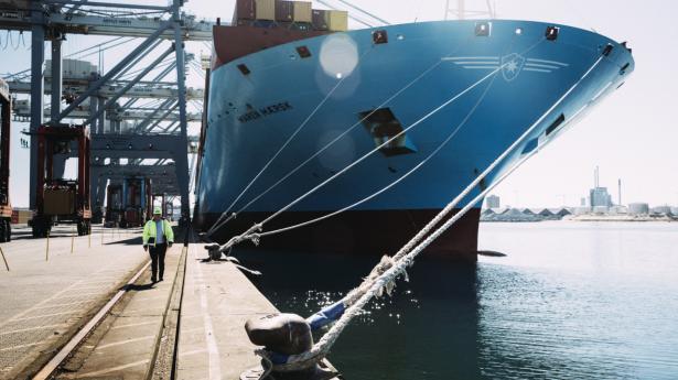 Mærsks store containerterminal i Aarhus og direktør Dennis Olesen får snart en lille ny i Kalundborg. Arkivfoto: Tobias Nicolai