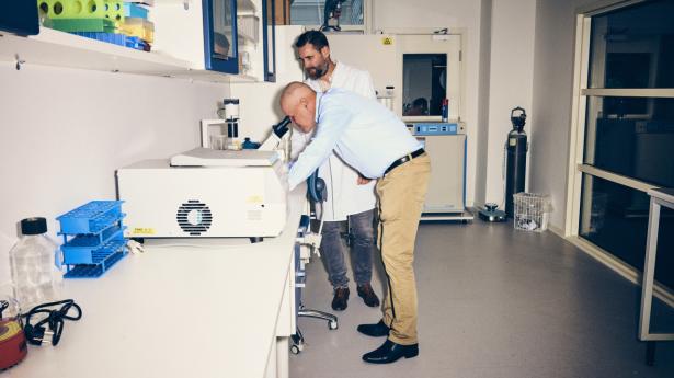 Niels Brünner og Jan Stenvang stiftede Scandion Oncology på basis af et skrottet lægemiddel fra Neurosearch. Foto: Thomas Nielsen