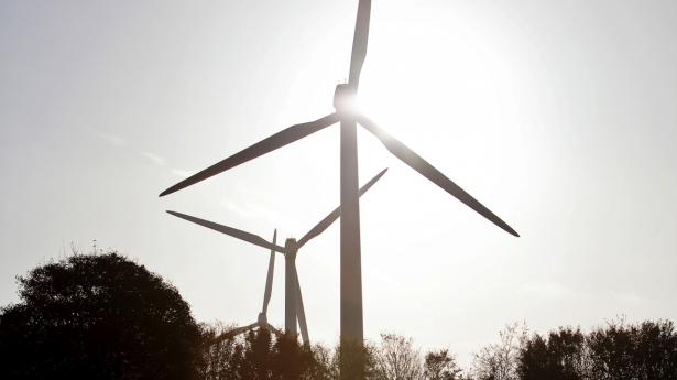 EU-taksonomien kommer til at få stor betydning for, hvordan danske virksomheder i fremtiden skal rapportere om deres aktiviteters bæredygtighed. Arkivfoto: Charlotte Elgaard Christensen