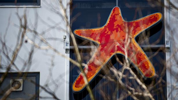 Lundbecks hovedsæde. Arkivfoto: Torkil Adsersen/Ritzau Scanpix