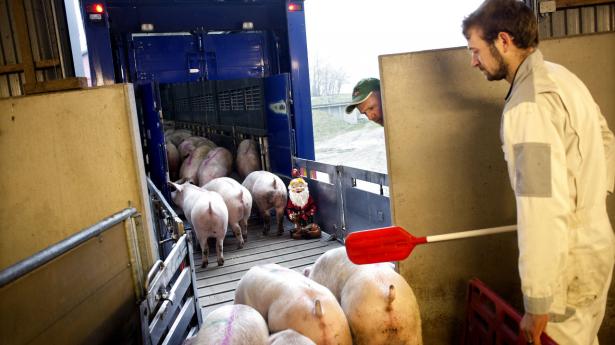 "Hvis vi ønsker at skabe en mere bæredygtig klimavenlig verden, skal vi bakke helhjertet op, når danske virksomheder beslutter sig for gå forrest," skriver Emil Fannikke Kiær og Morten Høyer. Arkivfoto: Niels Ahlmann Olesen/Ritzau Scanpix