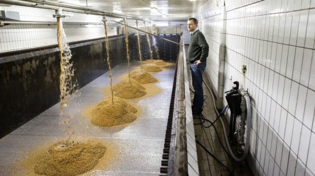 Familien Fuglsangs maltfabrik presset fra to sider – af dyrere råvarer og vilde energipriser: Kan ikke tage mod nye ordrer