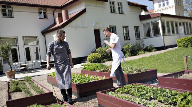 Køkkenchef Jonas Mikkelsen dyrker en stor del af restaurantens grøntsager i haven foran hotellet. Foto: Simone Astrid Pedersen.