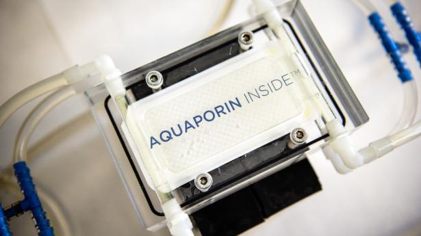 Aquaporin, der udvikler teknologier til vandrensning, gik på børsen i juni sidste år. Arkivfoto: Thomas Lekfeldt/Ritzau Scanpix