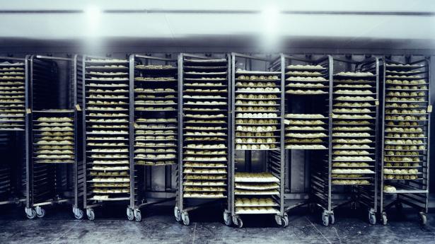 Virksomheder dropper at søge støtte til energiomstilling fra statens erhvervspulje, fordi kravene er for svære at gennemskue. Arkivfoto: Thomas Nielsen.