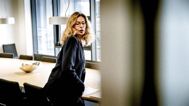 Birgitte Bonnesen blev i 2016 fotograferet til Børsen i forbindelse med et snarligt 30-årsjubilæum i Swedbank og en netop overstået 60-årsfødselsdag. Nu anklages hun for groft bedrageri. Arkivfoto: Steven Achiam