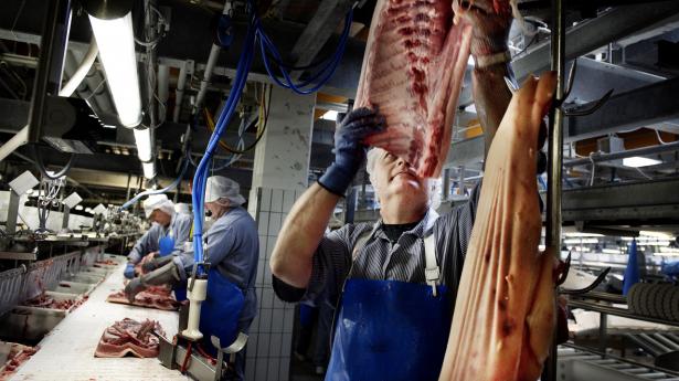 Arkivfoto: Liselotte Sabroe/Ritzau Scanpix