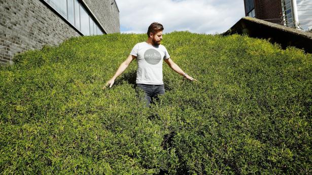Henrik Lund er klar til at forsvare den førende markedsandel på plantebaserede fødevarer, Naturli’, har opnået. Arkivfoto: Hans Christian Jacobsen