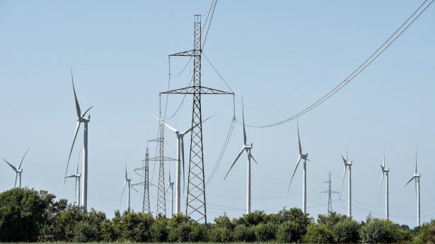 Arkivfoto: Henning Bagger/Ritzau Scanpix