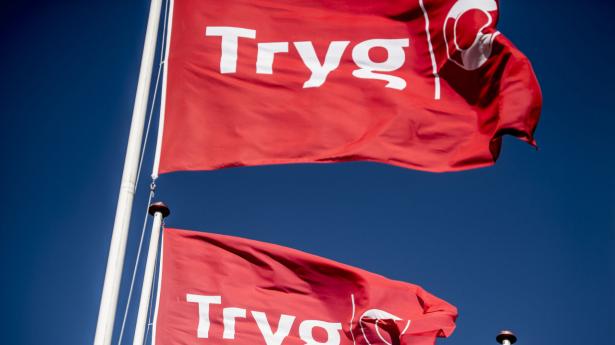 Trygs største aktionær vil købe Tryg-aktier for 50 mio. kr. 