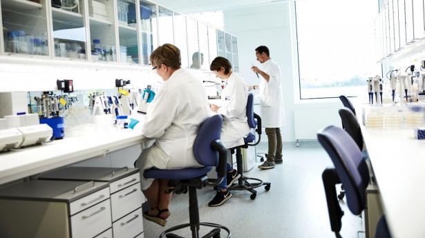 Novozymes er forskningsdrevet. Billedet er fra Novozymes’ afdeling i Lyngby. Arkivfoto: Jonas Pryner Andersen