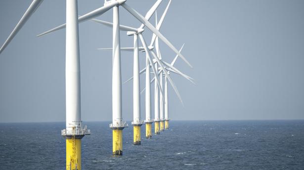 Arkivfoto: Henning Bagger/Ritzau Scanpix