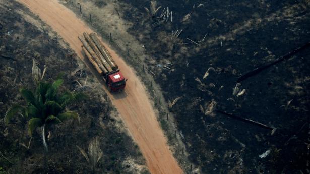 En undersøgelse fra Forrest 500 viser, at kun 33 ud af de 235 af investorer, der sidste år skrev under på en fælleserklæring om at begrænse brande i Amazonasjunglen, har en politik, der direkte adresserer afskovning. Arkivfoto: Bruno Kelly/Reuters/Ritzau Scanpix