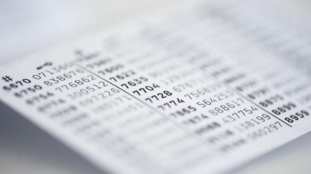 Danmark har en førende position inden for digitalisering af den offentlige sektor. Arkivfoto: Kristian Djurhuus/Ritzau Scanpix