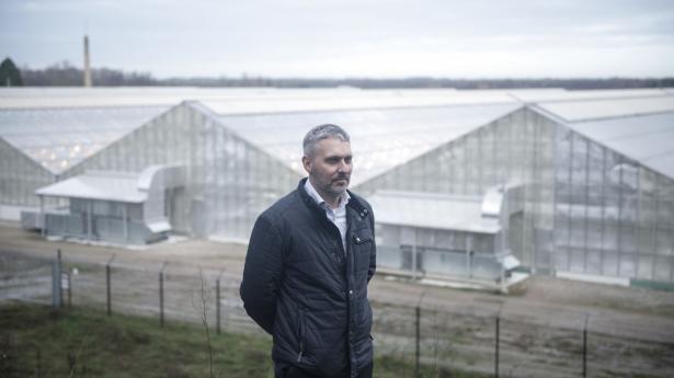 Morten Snede er direktør for Canopy Growth Denmark, der står til at lukke cannabisfabrikken i Odense-forstaden Stige. Arkivfoto: Christian Lykking/Ritzau Scanpix