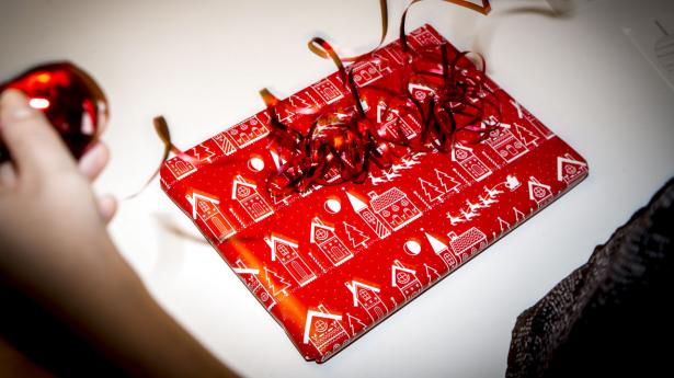 Arkivfoto: Mads Claus Rasmussen/Ritzau Scanpix
