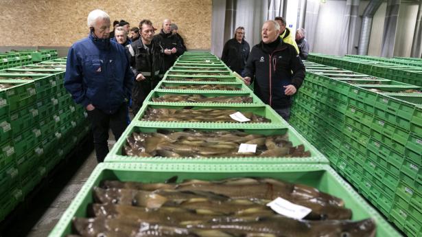 Dansk eksport kan fortsat blive ramt af efterdønningerne af coronakrisen, mener Allan Lyngsø Madsen. Arkivfoto: Henning Bagger/Ritzau Scanpix