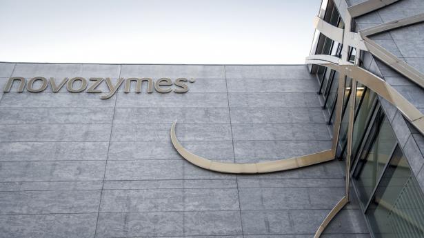 Arkivfoto: Mads Claus Rasmussen/Ritzau Scanpix