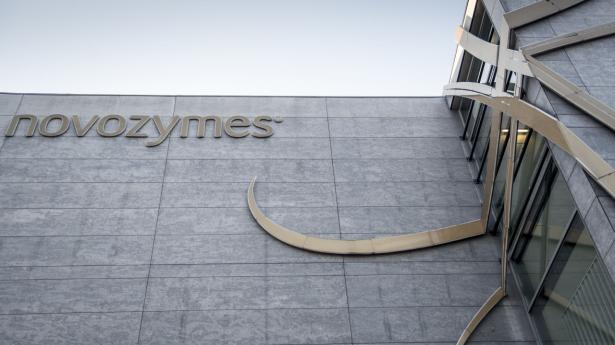 Investorer spekulerer massivt i dansk storfu­sion