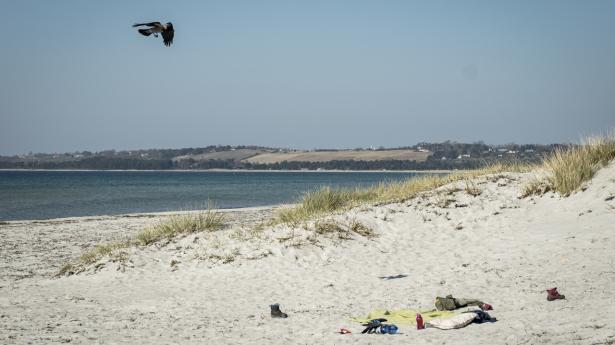 Arkivfoto: Niels Christian Vilmann/Ritzau Scanpix
