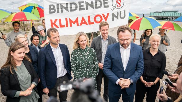 Med klimaloven fulgte 13 klimapartnerskaber. Det samme bør regeringen gøre med biodiversitet. Arkivfoto: Niels Christian Vilmann/Ritzau Scanpix