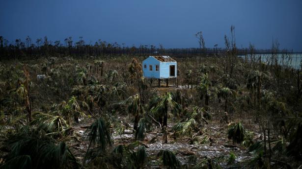 Arkivfoto: Loren Elliott/Reuters/Ritzau Scanpix
