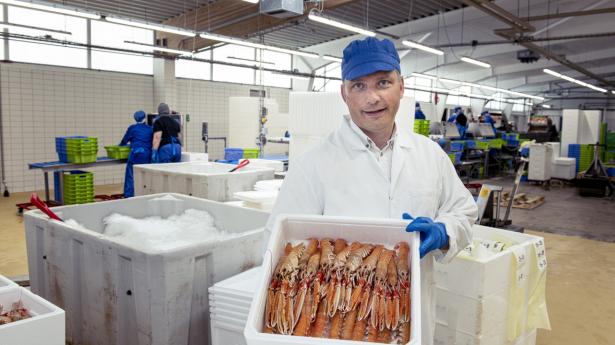 Lasse Dahl Petersen, adm. direktør, Læsø Fiskeindustri. Jomfruhummere. Foto: Arkiv/Michael Bo Rasmussen